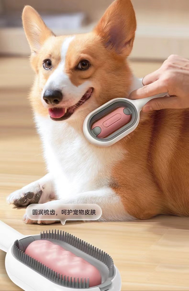 CG002 Pet Massage Brush 