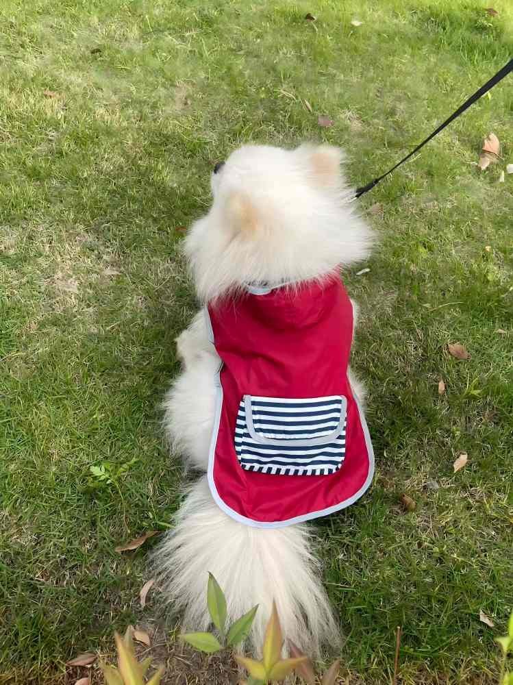 PL2401 Pet Raincoat