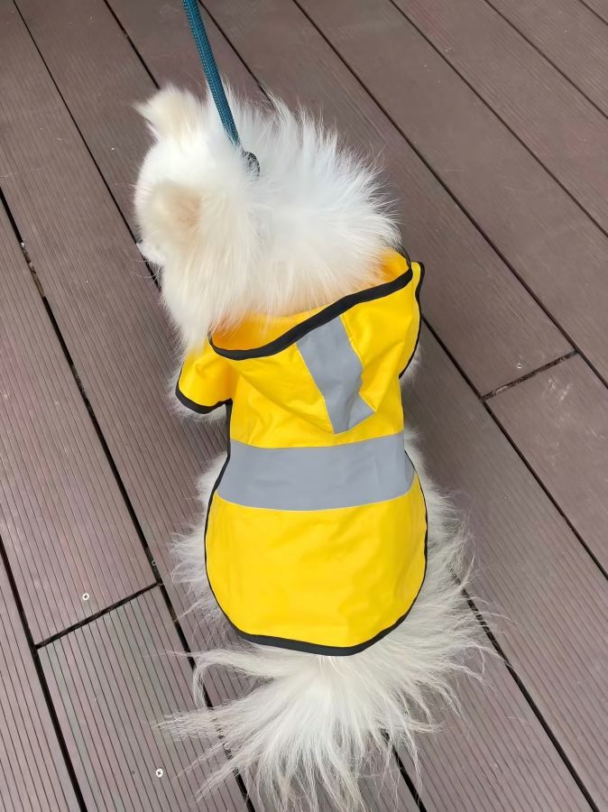 PL2402 Pet Raincoat