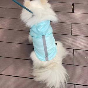 PL2406 Pet Raincoat