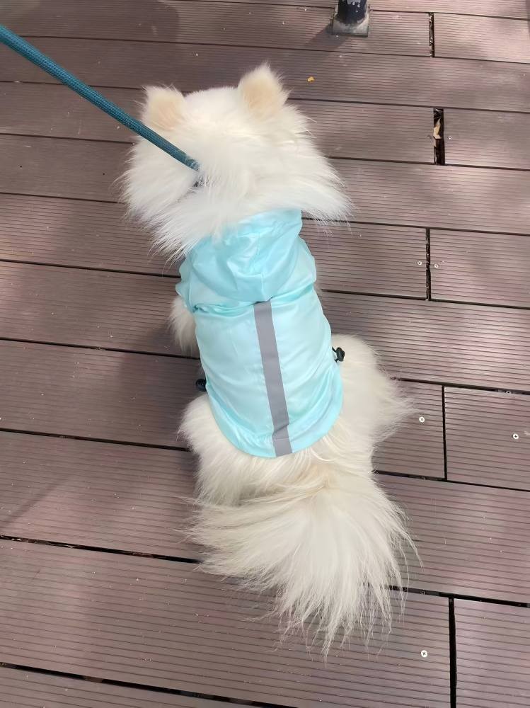 PL2406 Pet Raincoat