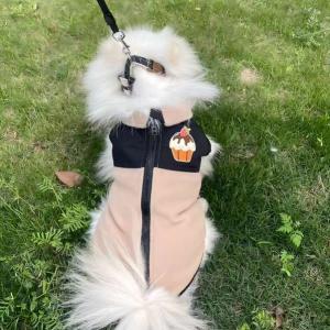 PL2501 Pet Coat 