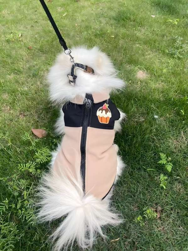 PL2501 Pet Coat 