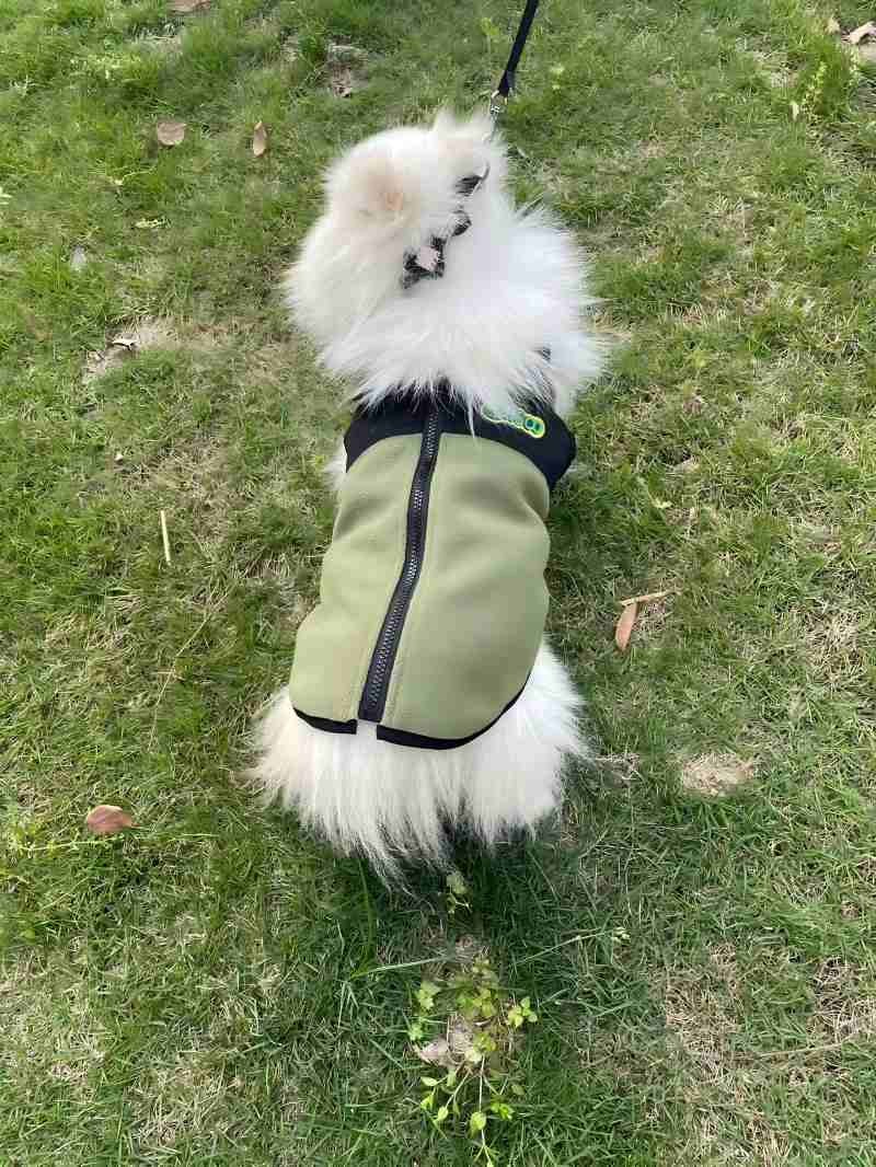 PL2501 Pet Coat 