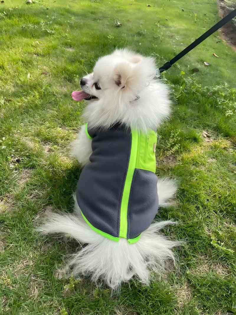 PL2502 Pet Coat  