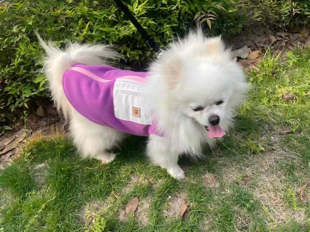PL2502 Pet Coat  
