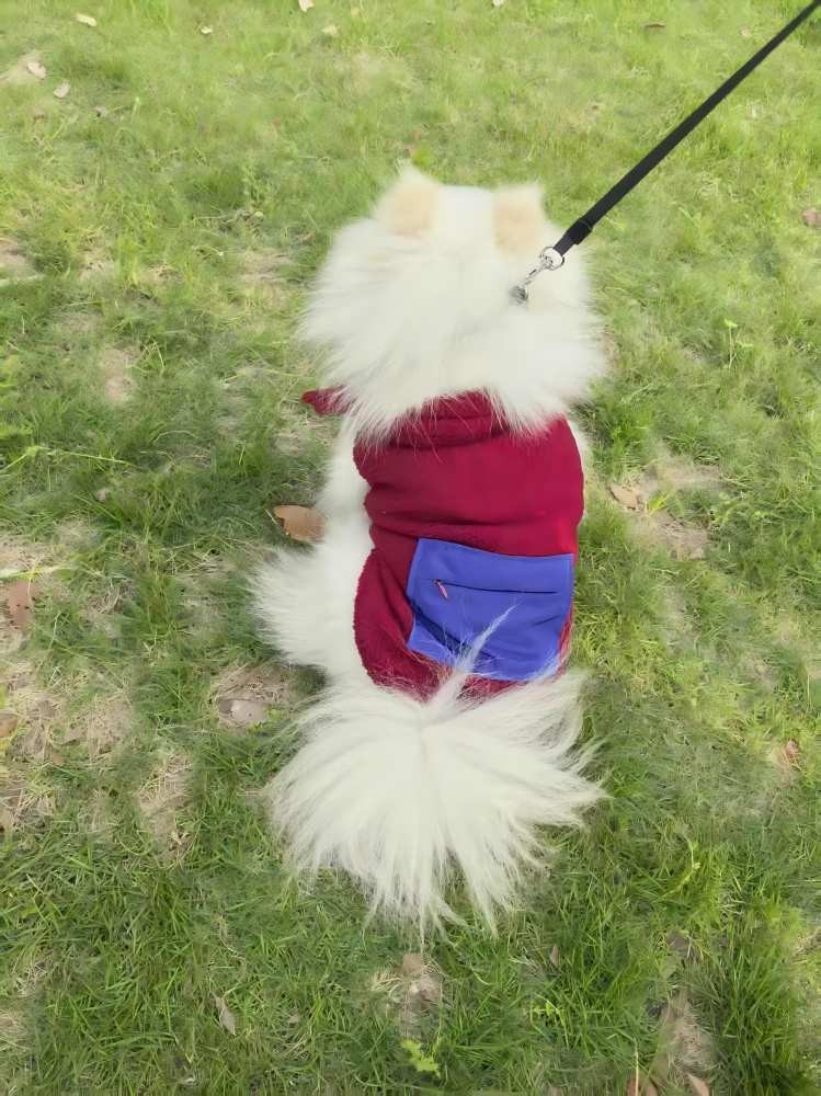 PL2504 Pet Coat