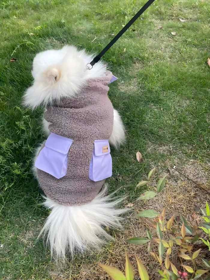 PL2506 Pet Coat  