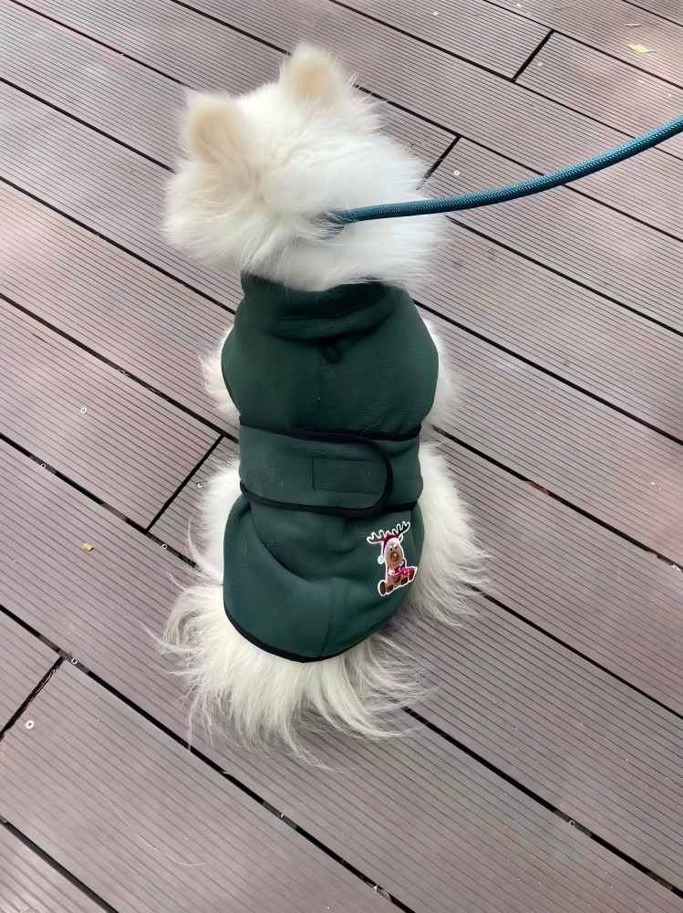 PL2508 Pet Coat