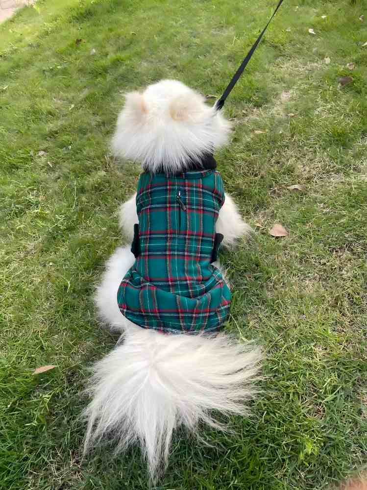 PL2512 Pet Coat  