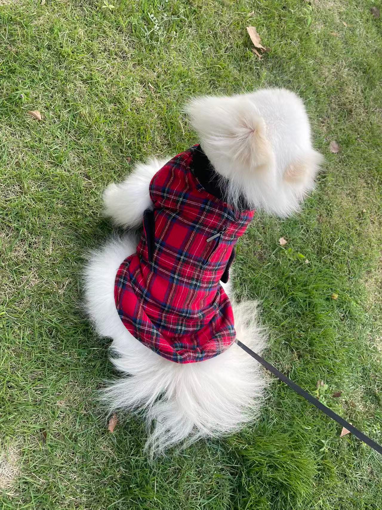 PL2512 Pet Coat  
