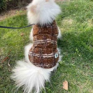 PL2513 Pet Coat 