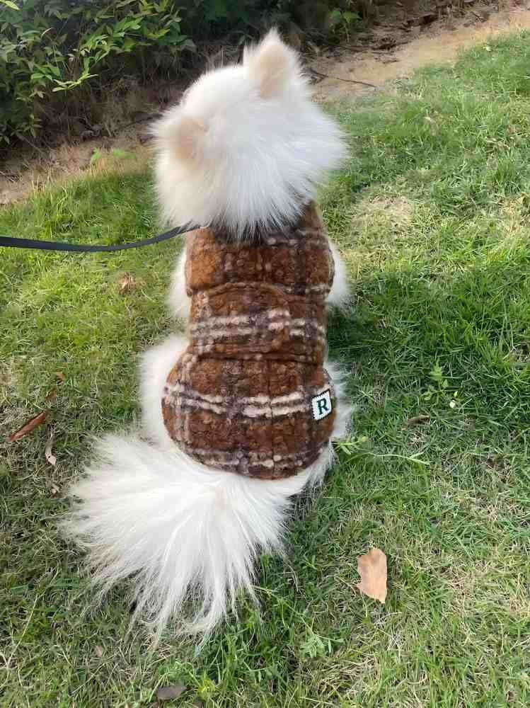 PL2513 Pet Coat 