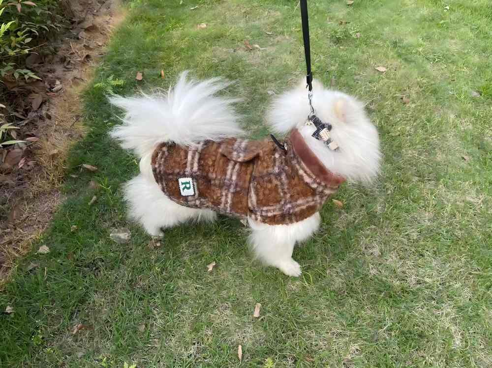PL2513 Pet Coat 