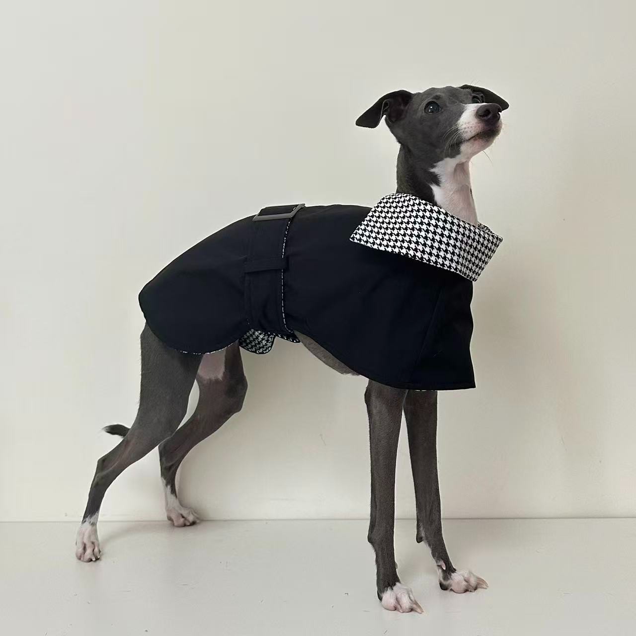 PL2520 Pet Coat  