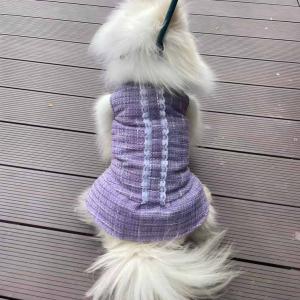 PL2521 Pet Coat 