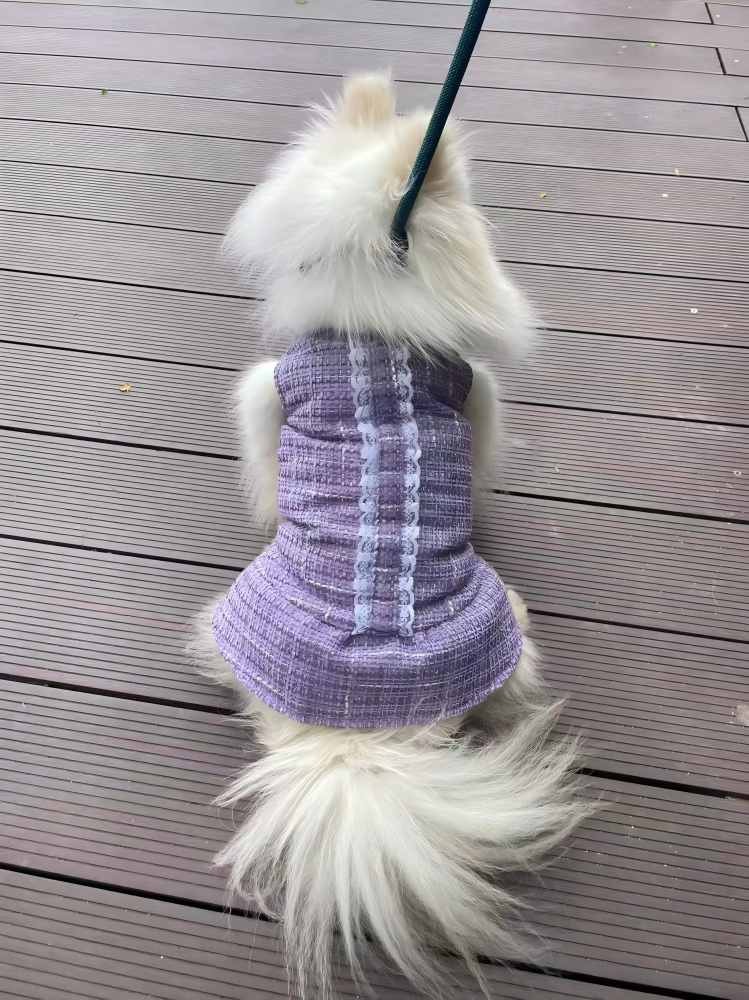 PL2521 Pet Coat 