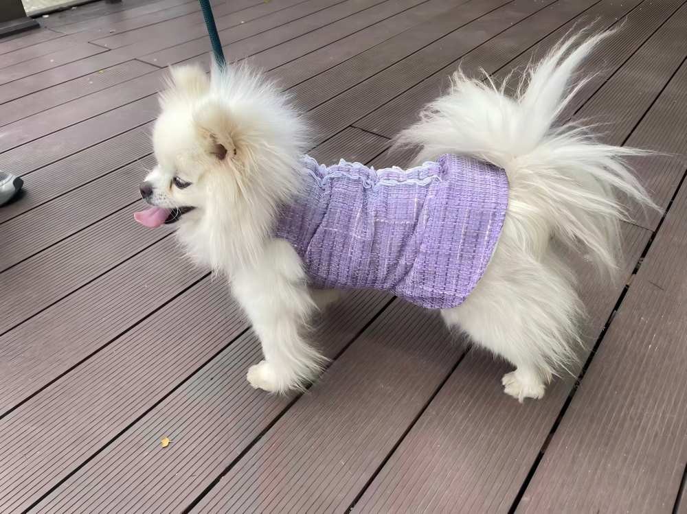 PL2521 Pet Coat 