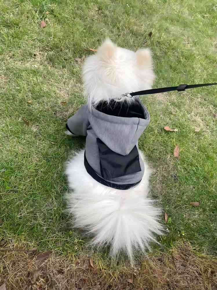 PL2524-01 Pet Coat
