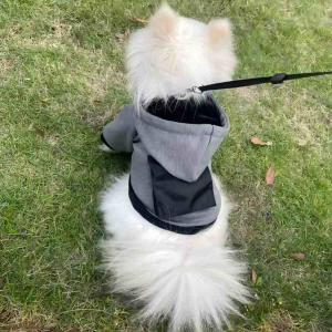 PL2524 Pet Coat