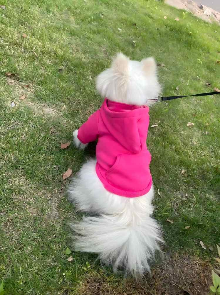 PL2524 Pet Coat