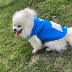 PL2525 Pet Coat 