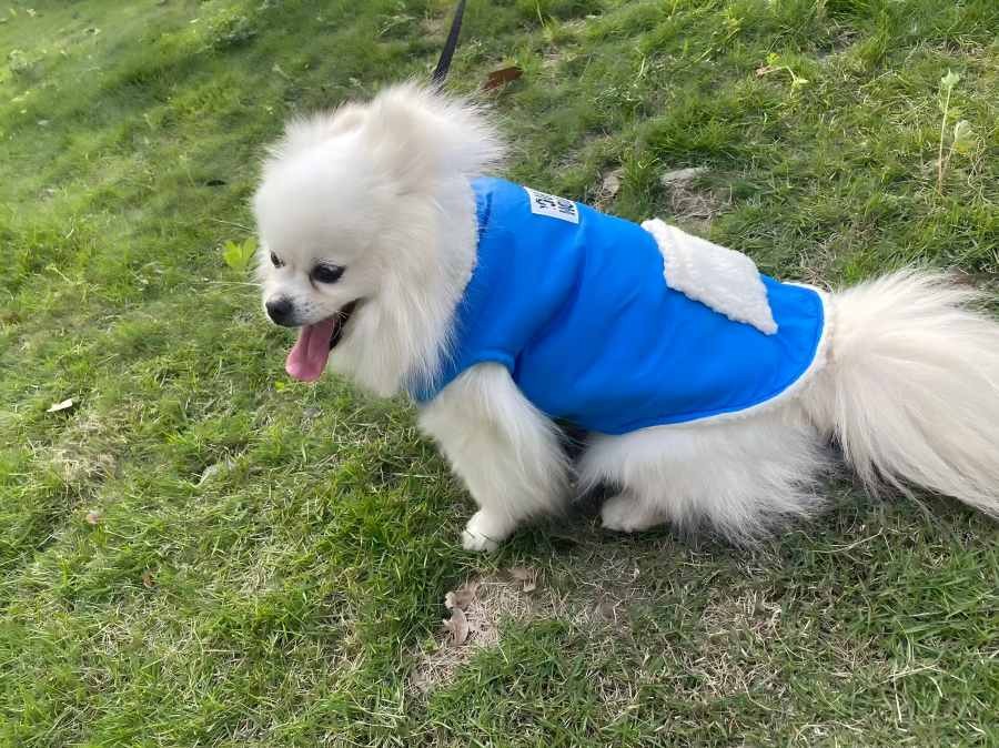 PL2525 Pet Coat 
