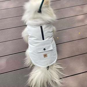 PL2528 Pet Coat 