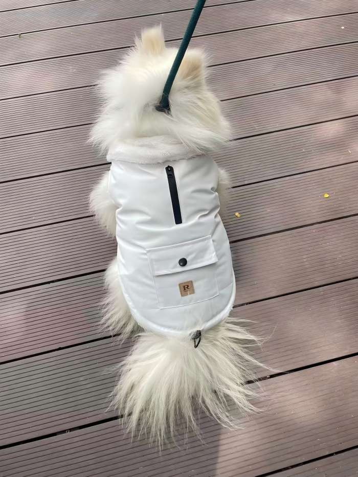 PL2528 Pet Coat 