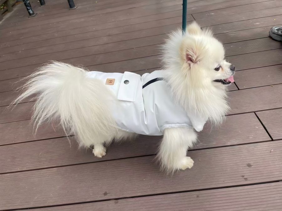 PL2528 Pet Coat 