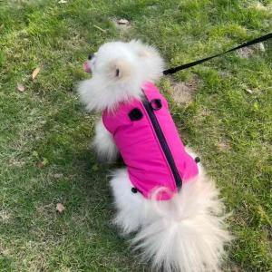 PL2529 Pet Coat 