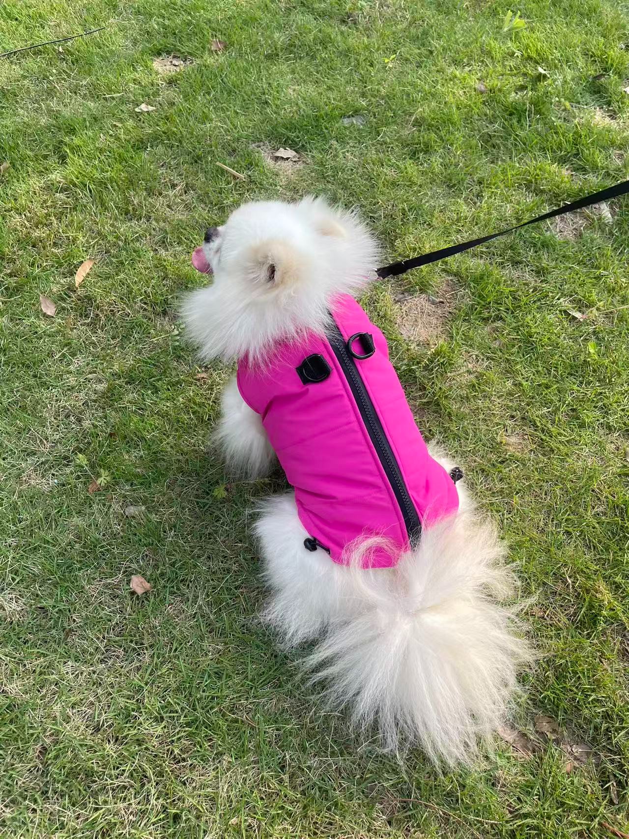 PL2529 Pet Coat 