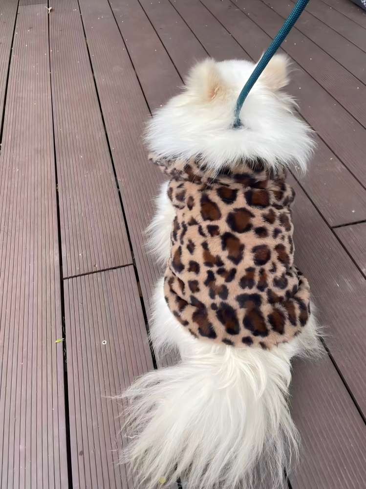 PL2529 Pet Coat 