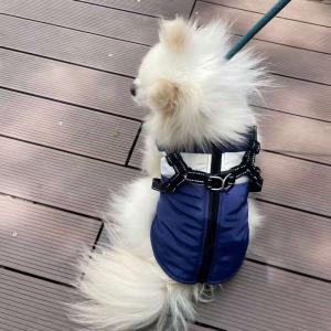 PL2532 Pet Coat