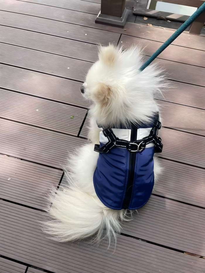 PL2532 Pet Coat