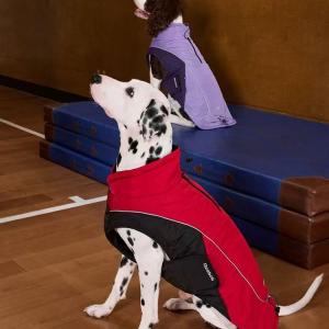 PL2533 Pet Jacket 