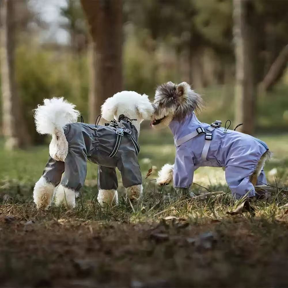 PL2537 Pet Jacket  