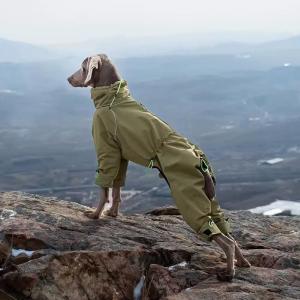 PL2538 Pet Jacket  