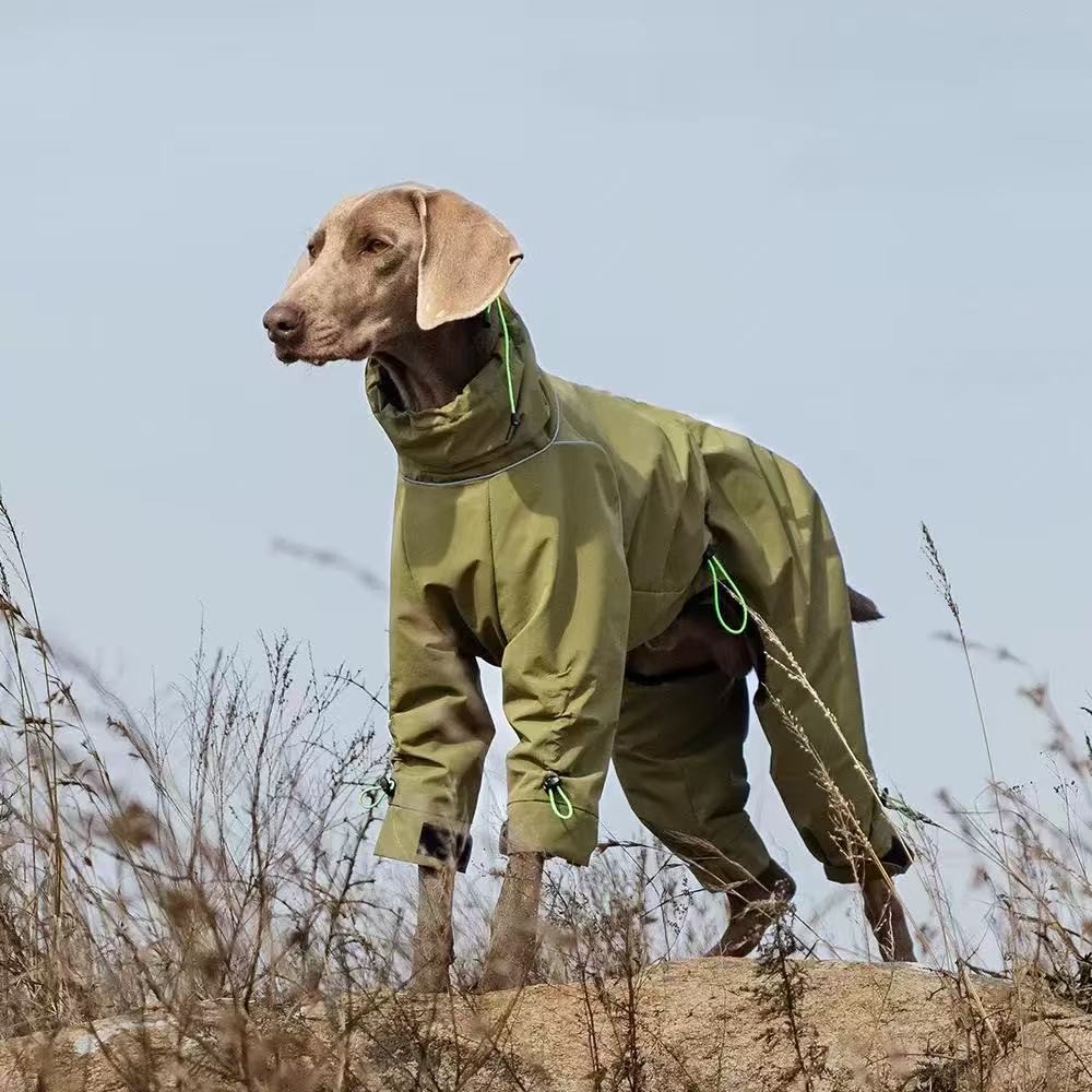 PL2538 Pet Jacket  
