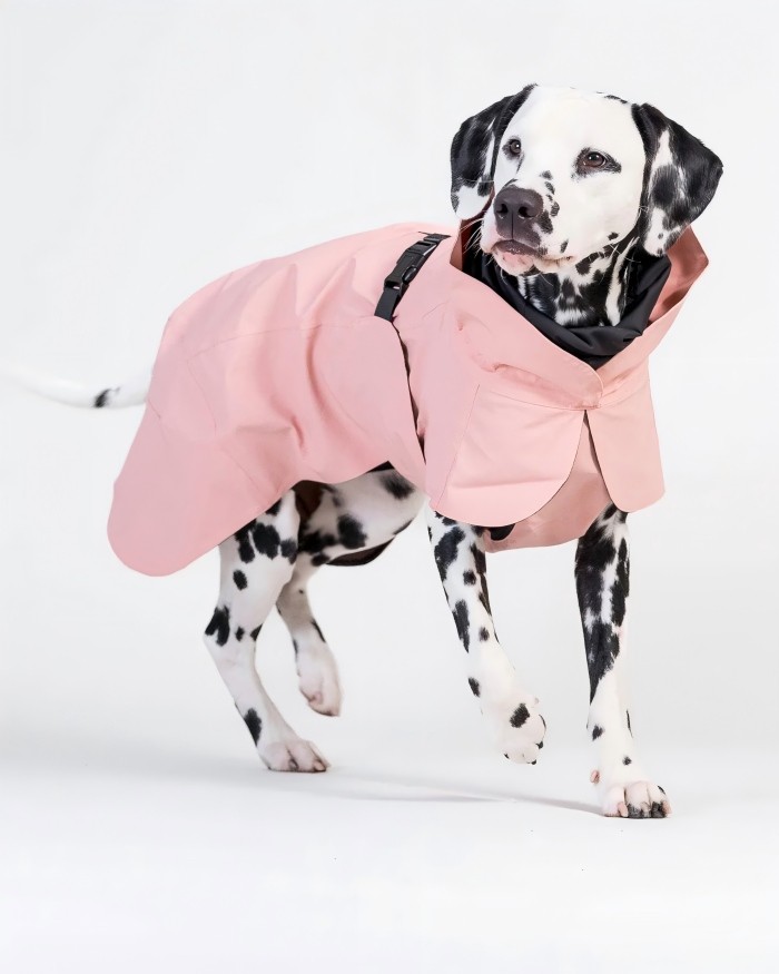 PL2541 Pet Jacket 