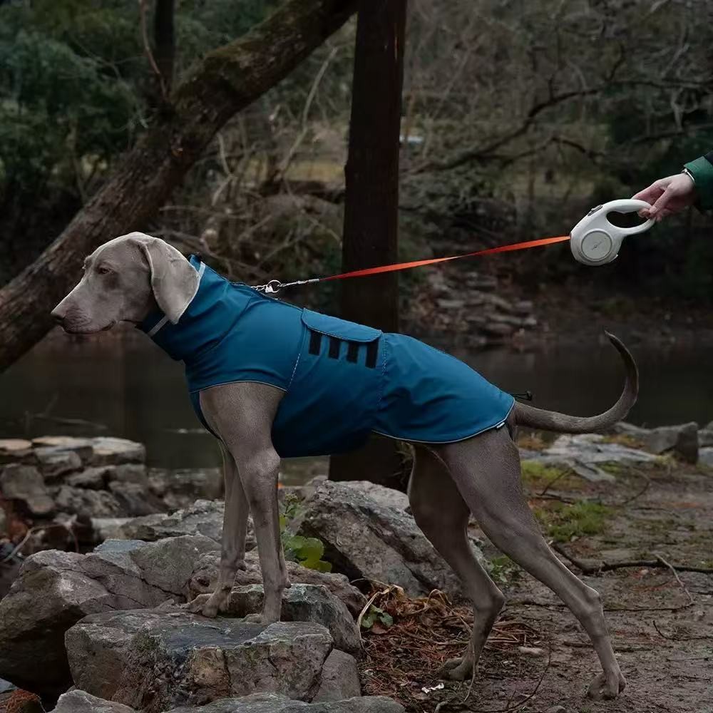 PL2543 Pet Raincoat