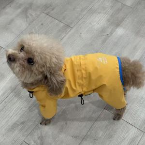 PL2546 Pet Rain Coat