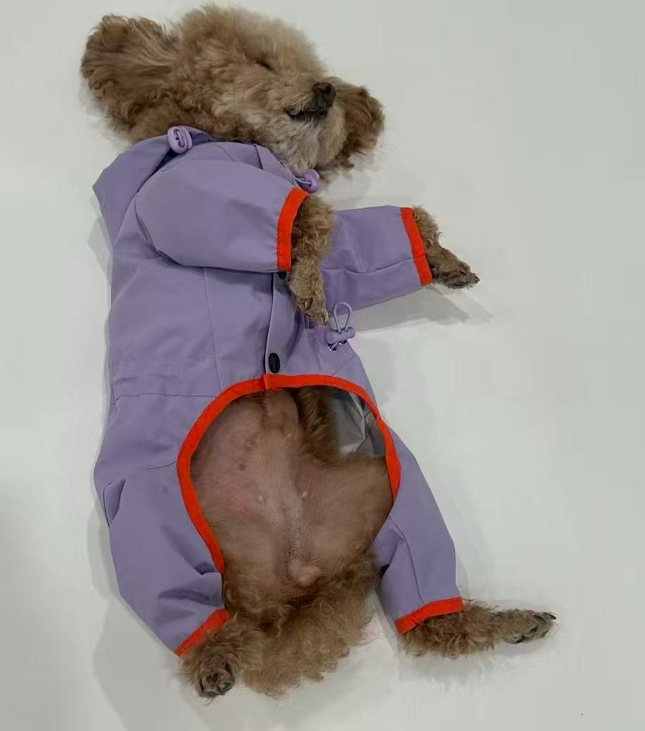 PL2546 Pet Rain Coat