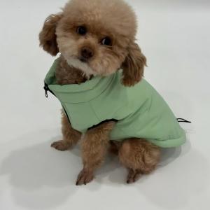 PL2548 Pet Coat  
