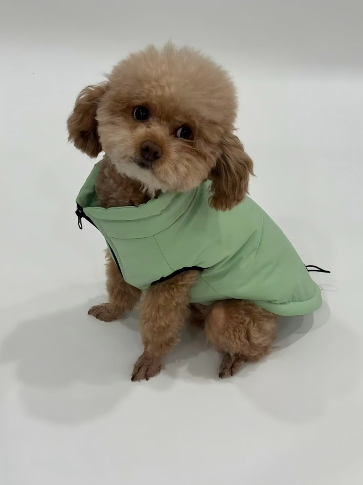 PL2548 Pet Coat  