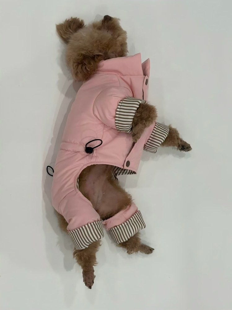 PL2550 Pet Coat 