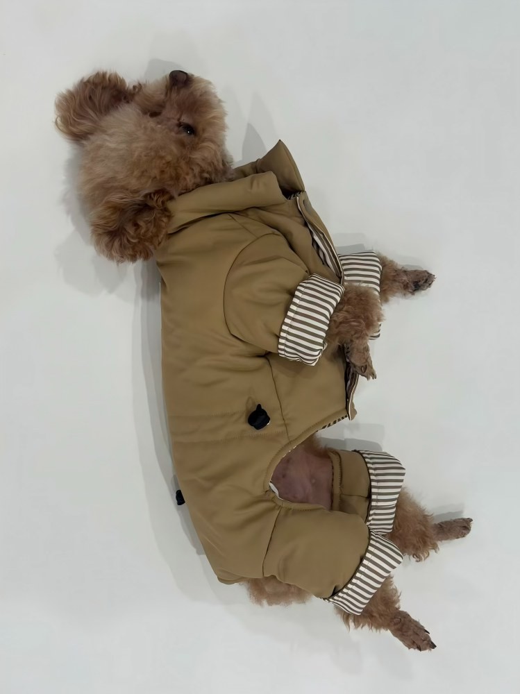 PL2550 Pet Coat 
