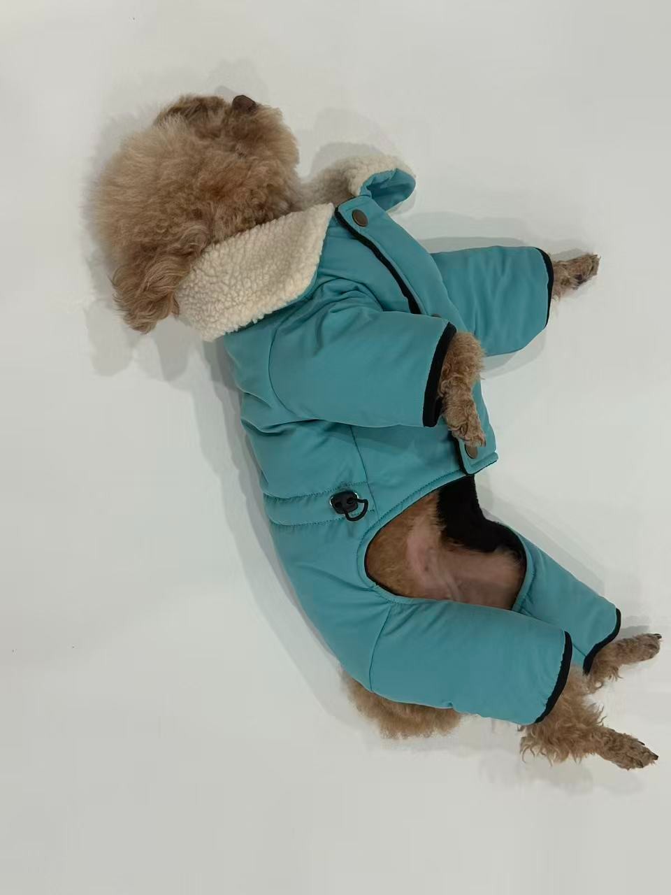 PL2551 Pet Coat 