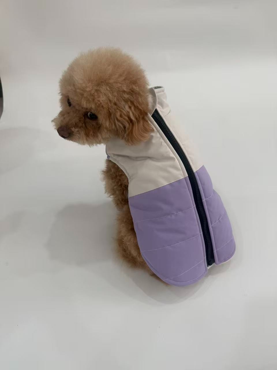 PL2552 Pet Coat  