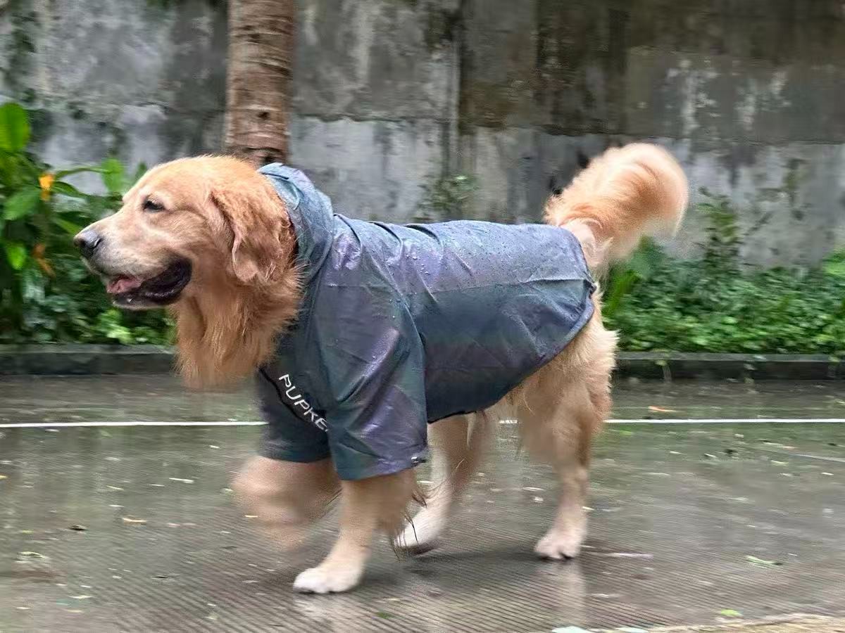 PL2555 Pet Jacket 